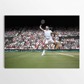 Roger Federer – Maestro in Motion